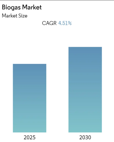 Biogas Market Size Biogas Market - Market Summary